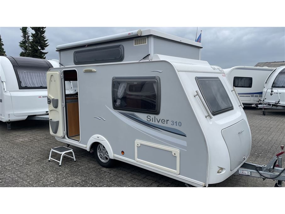 SILVER 310